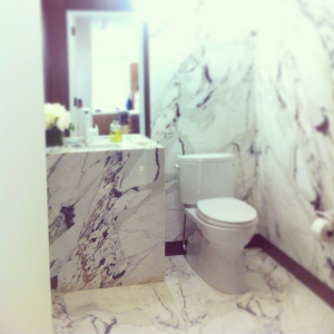 Brescia Marble for the guest bathrooms. 